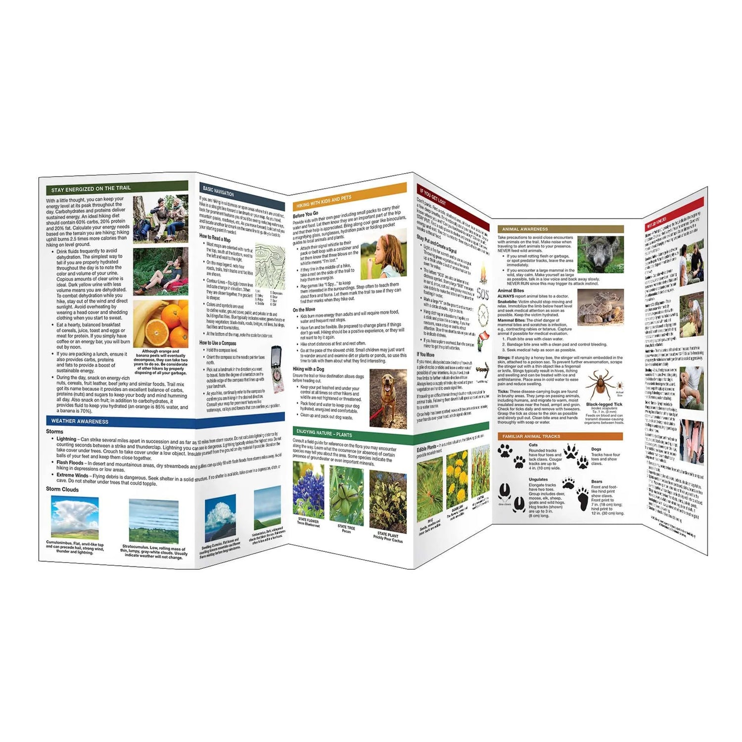 Hiking Guides