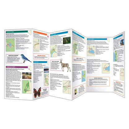 Nevada Day Hikes | Hiking Guide